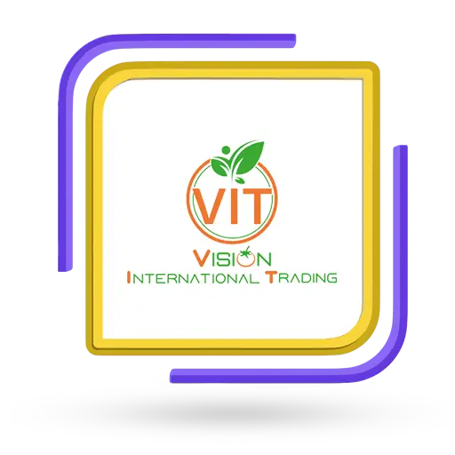 VIT_logo