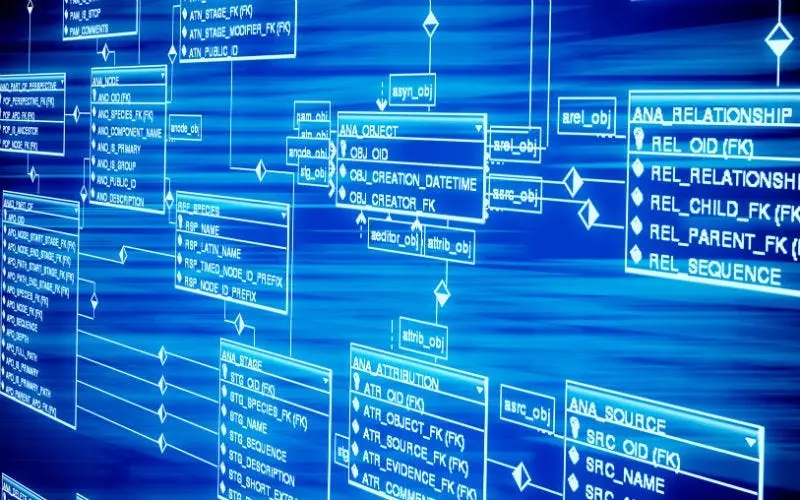 database optimization لتسريع المواقع الالكترونية